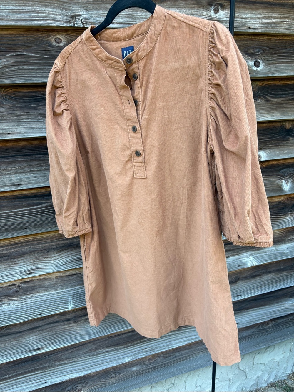 GAP Rust Brown Dress